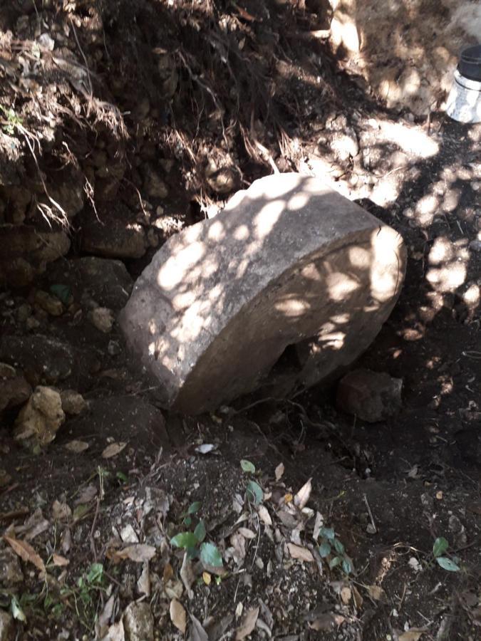Hotel Kamp Seosko Domacinstvo Radman Herceg Novi Exterior foto