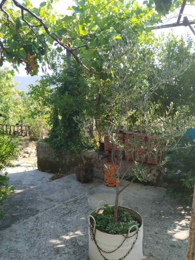 Hotel Kamp Seosko Domacinstvo Radman Herceg Novi Exterior foto